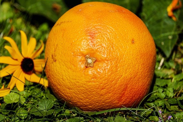 Grapefruit jako zdroj našeho zdraví